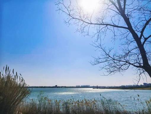 0057a30e547ac0bdcfd2aa54a3fc0c0